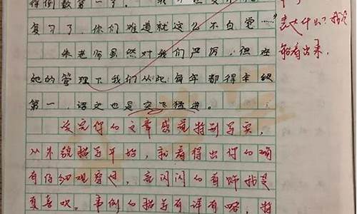 我的老师作文450字_我的老师作文450字优秀作文