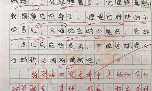 万能评语_万能评语大全20字左右