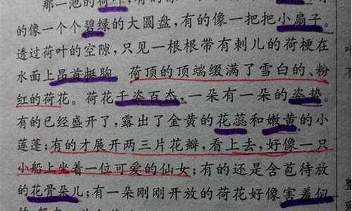 名家优美散文段落摘抄_名家优美散文段落摘抄200字