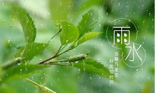 关于雨的诗句唯美_关于雨的诗句唯美现代诗